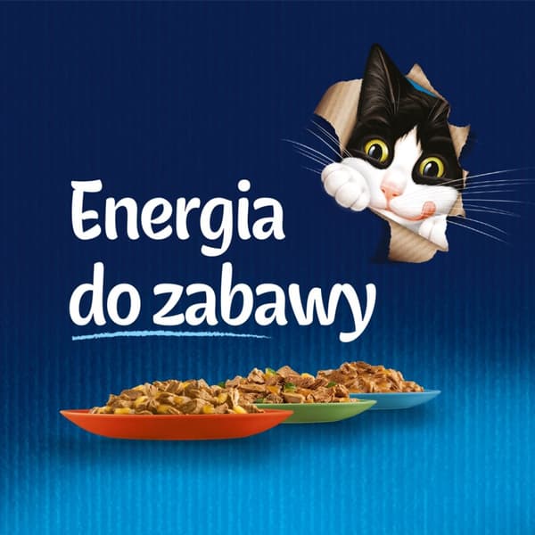 FELIX Fantastic Fish - kissan märkäruoka - 12x85g