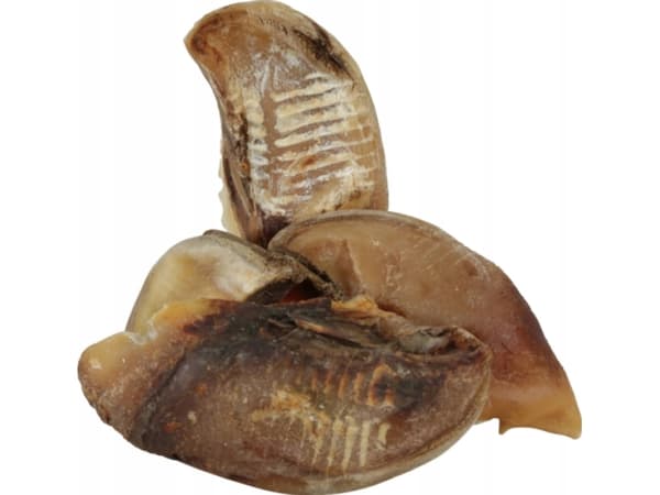 ZOLUX Naudan kaviot - puruluu koirille - 3.5kg