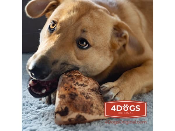 4DOGS KORZEN_L, Hund, Godteleke, Brun, Tygging, Polen, 500 g