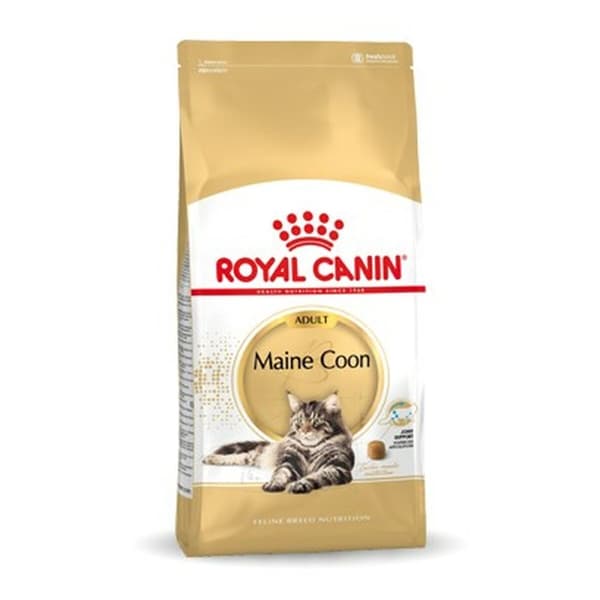 Kissanruoka Royal Canin Maine Coon Adult + 1 vuosi Aikuinen Linnut 10 kg