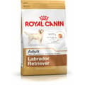 Miniatyrbillede 2 af 2: Foder Royal Canin Labrador Retriever Adult Voksen Kylling Ris Fugle 12 kg