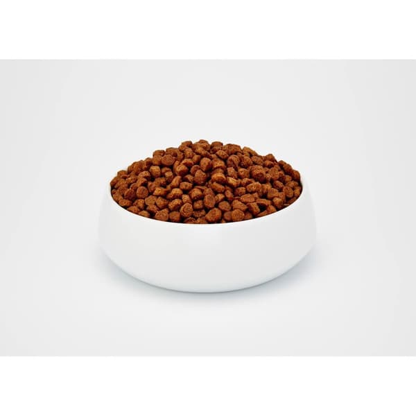 Kattemad BOSCH ADULT Voksen Kylling Fugle 10 kg
