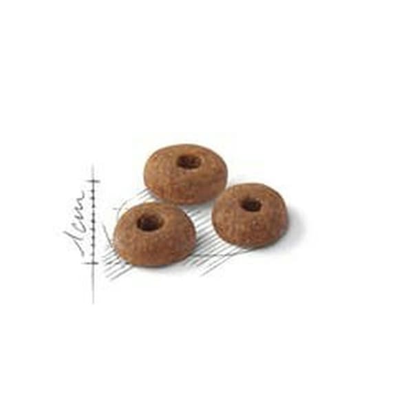 Kattemad Royal Canin Feline Fit Voksen 2 Kg