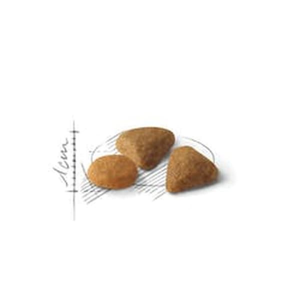 Kissanruoka Royal Canin Feline Savour Exigent 4kg Aikuinen 4 Kg