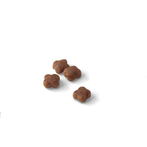 Kattemad Royal Canin Kylling 2 Kg