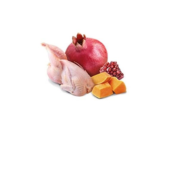 Kostea ruoka Farmina N&D Pumpkin Grain-Free Canine 285g Kana Kasvis 285 g
