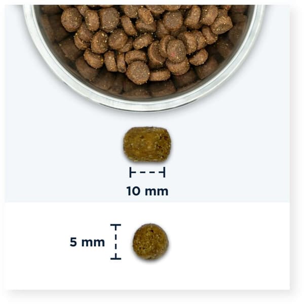 Kattmat Eukanuba Adult Chicken Kyckling 2 Kg