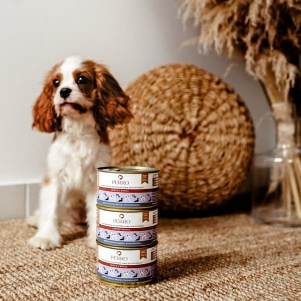 Våt mat PERRO Junior Turkey and pumpkin Kalkon 410 g