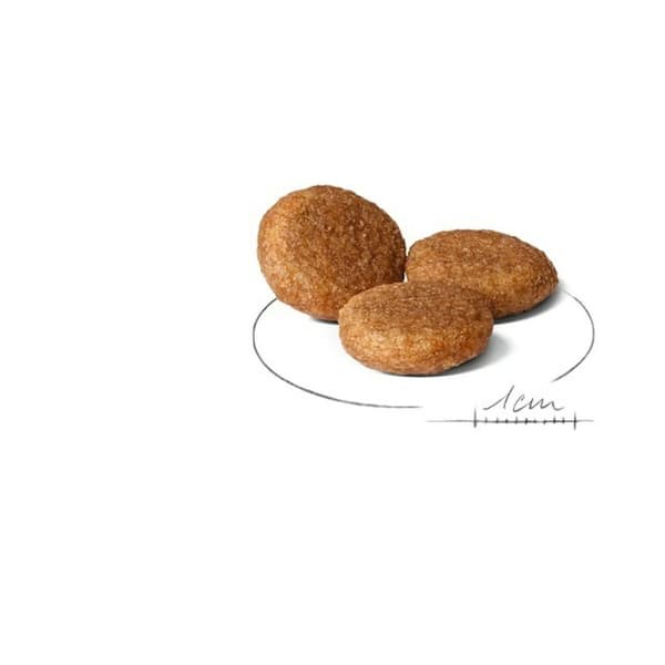 Rehu Royal Canin Linnut 12 kg