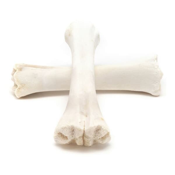 Hundesnack Gloria Bein Kalsium 20 enheter