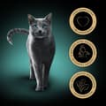 Miniatyrbild 6 av 11: Kattmat Sheba Delicacy Kyckling