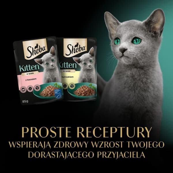 Kattemad Sheba Kitten Kylling
