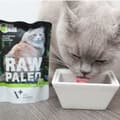 Miniatyrbillede 2 af 3: Kattemad VETEXPERT Adult Cat 100 g