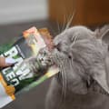 Miniatyrbillede 2 af 3: Kattemad VETEXPERT Adult Cat 100 g