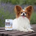 Miniatyrbillede 2 af 3: Våd mad VETEXPERT Adult Monoprotein Kalkun 400 g