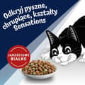 Pikkukuva 3 / 6: Kissanruoka Purina Felix Countryside Sensations Pihvi 1 kg