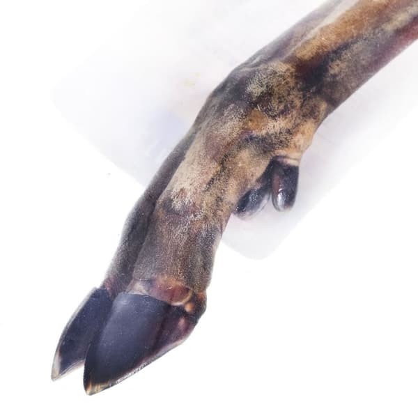 Hundgodis Petmex Rådjur 100 g