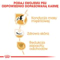 Miniatyrbild 2 av 2: ROYAL CANIN BHN French Bulldog Adult - kuivaruoka aikuisille koirille - 3kg