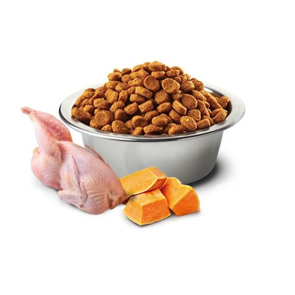 Kattmat Farmina Pumpa Vuxen Kyckling 1,5 Kg