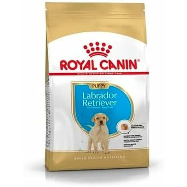 Rehu Royal Canin Lapset / junior Kana 3 Kg