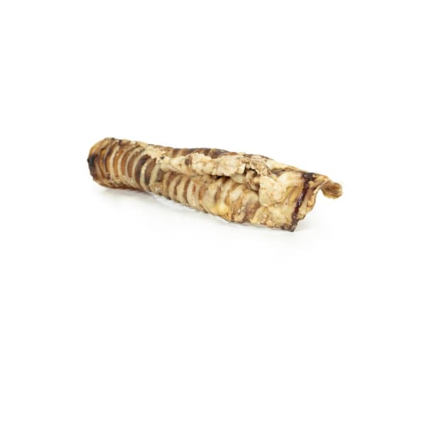 Kostea ruoka