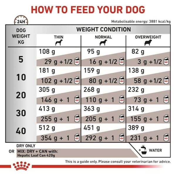 Foder Royal Canin Hepatic Vuxen Kött Fåglar 7 kg