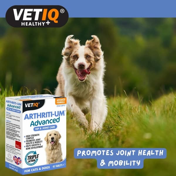 Lisäravinteet ja vitamiinit Mark & Chappell VETIQ ARTHRITI-UM ADVANCED
