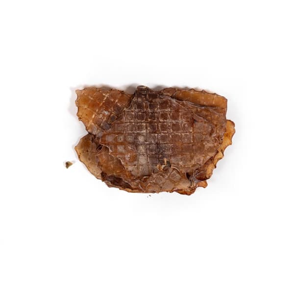 Våt mat Snackys Fisk