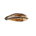 Miniatyrbild 4 av 4: Våt mat Snackys Fisk