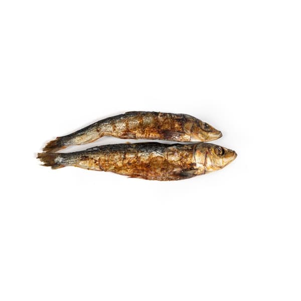 Våt mat Snackys Fisk