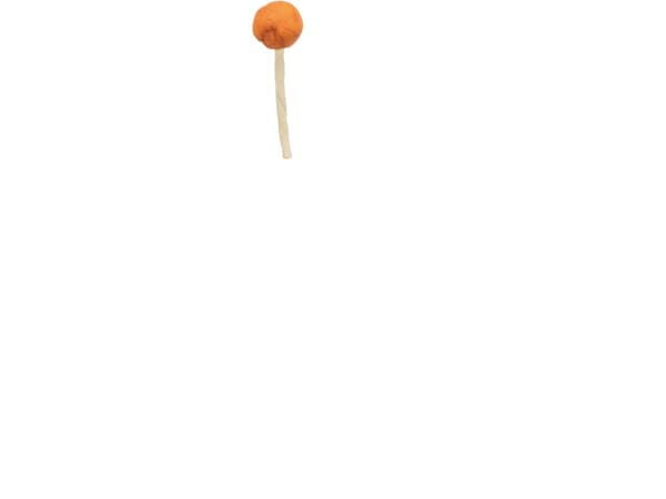 Trixie PREMIO Lolly with codfish, bulk, 9 cm, 15 g - (60 pk/ps)