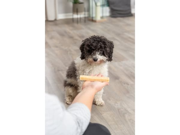 Trixie Chewing cheese, M: 13.5 cm, 75 g