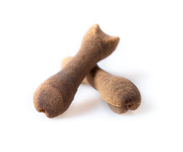 [OUTLET] - TE Biscuit Bone Bacon Small 2-pack - (6 pk/ps)