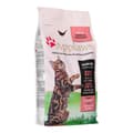 Miniatyrbild 3 av 3: Foder Applaws Chicken with salmon Vuxen Kyckling Lax Fisk 2 Kg