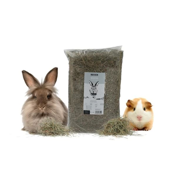 Kaninmat Recek Chinchilla Marsvin Hamster Råtta Mus Gnagare Fåglar Kaninmat Recek Chinchilla Marsvin Hamster Råtta Mus Gnagare Fåglar