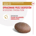 Miniatyrbild 4 av 11: Hundgodis Royal Canin Urinary S/O Treats 230 g