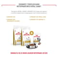 Miniatyrbild 7 av 11: Hundgodis Royal Canin Urinary S/O Treats 230 g