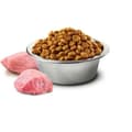 Pikkukuva 2 / 2: Rehu Farmina 8010276033635 Aikuinen Kana 2,5 g