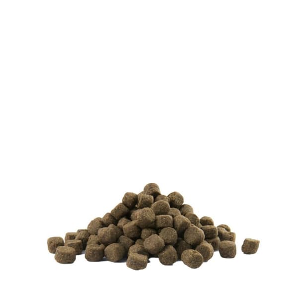 Foder Versele-Laga Adult Digestion Medium & Maxi Voksen Lam 12,5 Kg