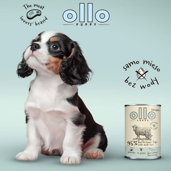 Våt mat Ollo Puppy Umami Nötkött 400 g