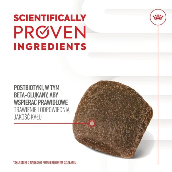 Hundesnack Royal Canin Supplements Dog Digestion Adult 160 g