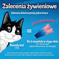 Miniatyrbild 6 av 8: Snack for Cats Purina Felix Deli Moments Salmon 4 x 10 g