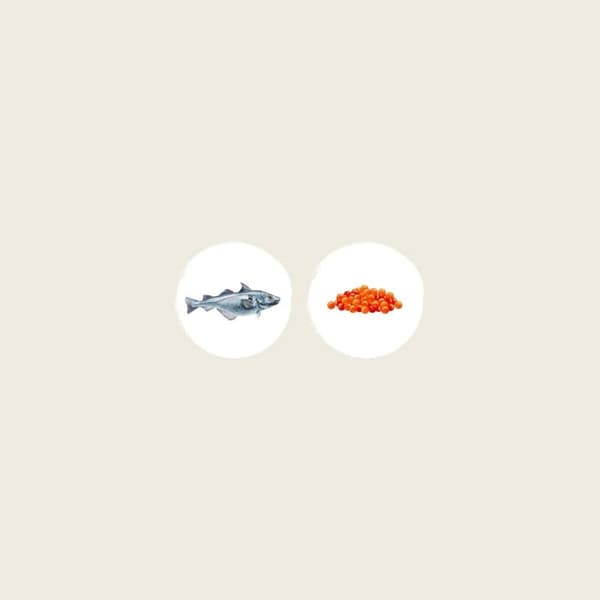 Foder EDEN Fisk 1,5 Kg