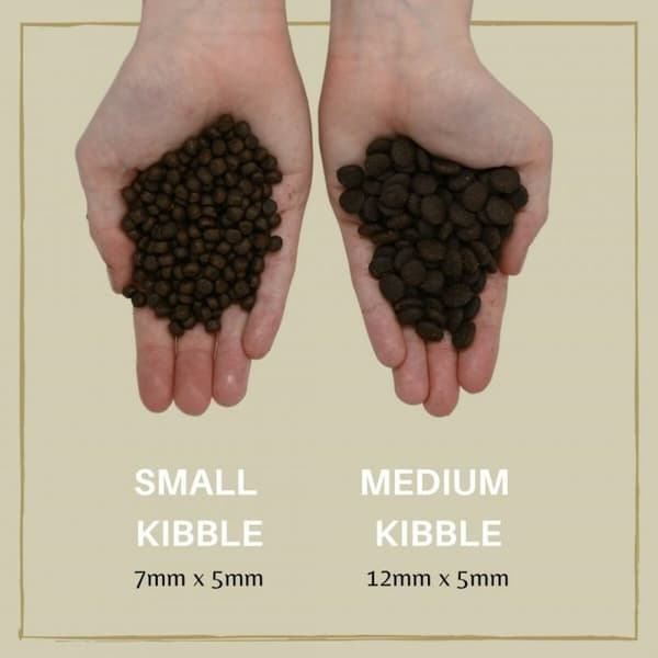 Foder EDEN 80/20 Medium kibble Lax 12 kg