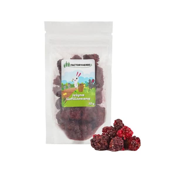 Kaninmat Factoryherbs Freeze-dried blackberry Chinchilla Marsvin Hamster Råtta Mus Gnagare Fåglar Kaninmat Factoryherbs Freeze-dried blackberry Chinchilla Marsvin Hamster Råtta Mus Gnagare Fåglar