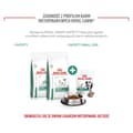 Miniatyrbild 7 av 11: Hundgodis Royal Canin Dog Satiety Treats 230 g
