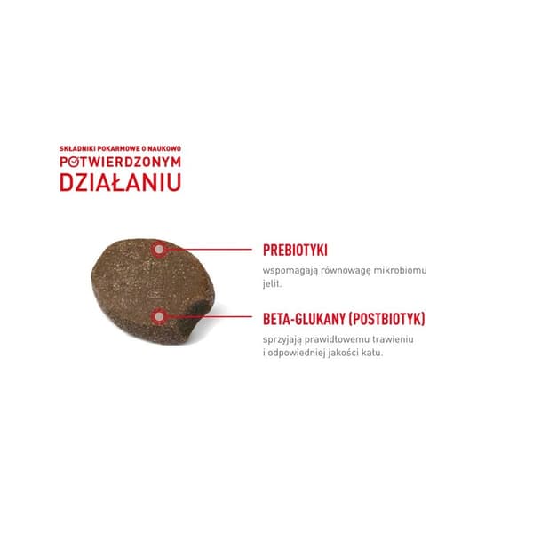 Koiran makupala Royal Canin Supplements Dog Digestion Adult 160 g