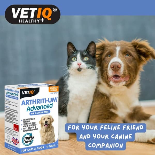 Kosttillskott och vitaminer Mark & Chappell VETIQ ARTHRITI-UM ADVANCED