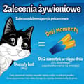 Pikkukuva 4 / 8: Snack for Cats Purina Felix Deli Moments Chicken Kana 4 x 10 g