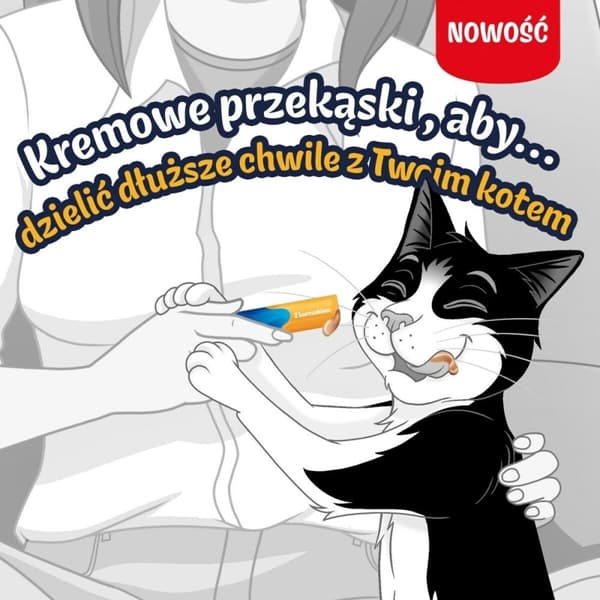 Snack for Cats Purina Felix Deli Moments Chicken Kana 4 x 10 g